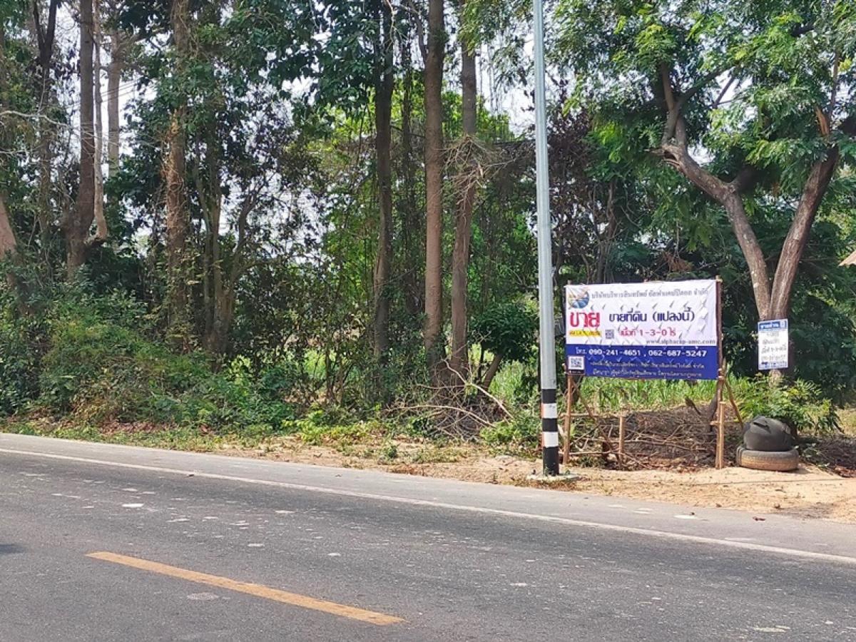 ขายที่ดินร้อยเอ็ด : ที่ดิน