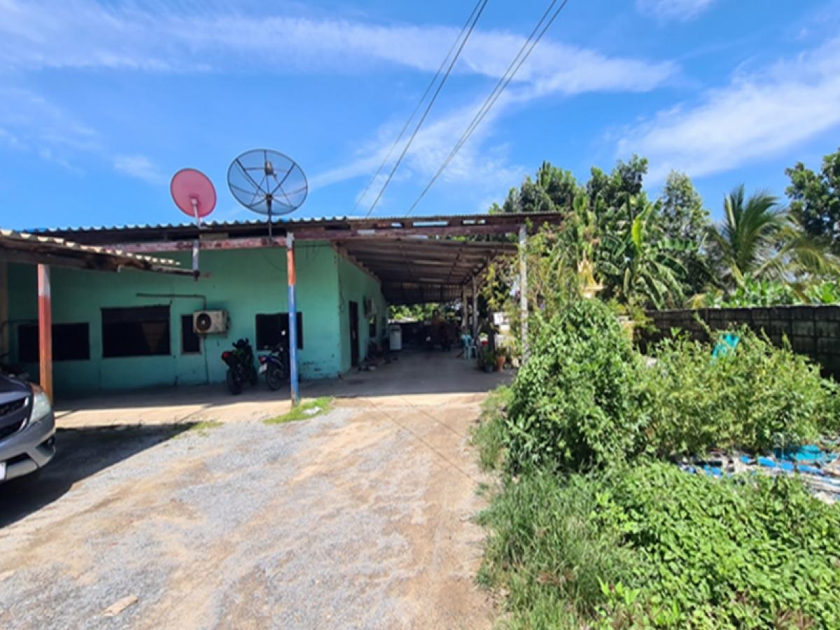 ขายบ้านพุทธมณฑล ศาลายา : บ้านพักอาศัยตึกชั้นเดียว ห่างจากถนนบ้านบางระกำ-นราภิรมย์ ประมาณ 78 เมตร