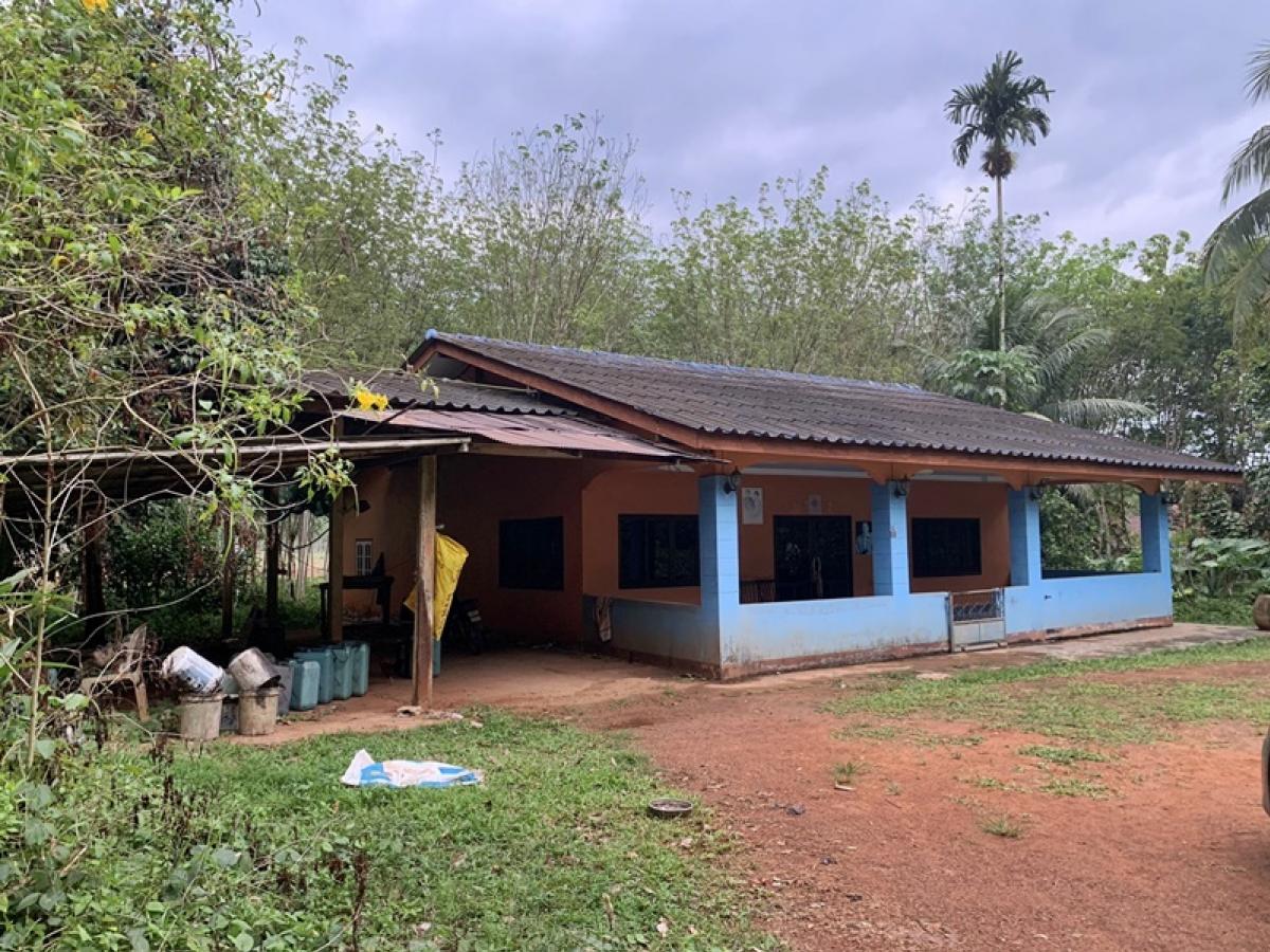 For SaleHouseTrang : 136, -, 172 Khuan Road, Mr. Kwai - Huai Mai Kaen, separated from Trang -Yong Star Road (T. 404)