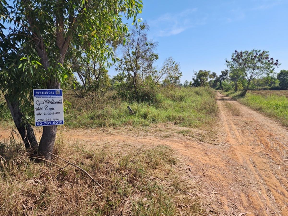 For SaleLandUdon Thani : The alley is not separated from Mittraphap Road (Tor. 2), Pako Kumphawapi, Udon Thani.