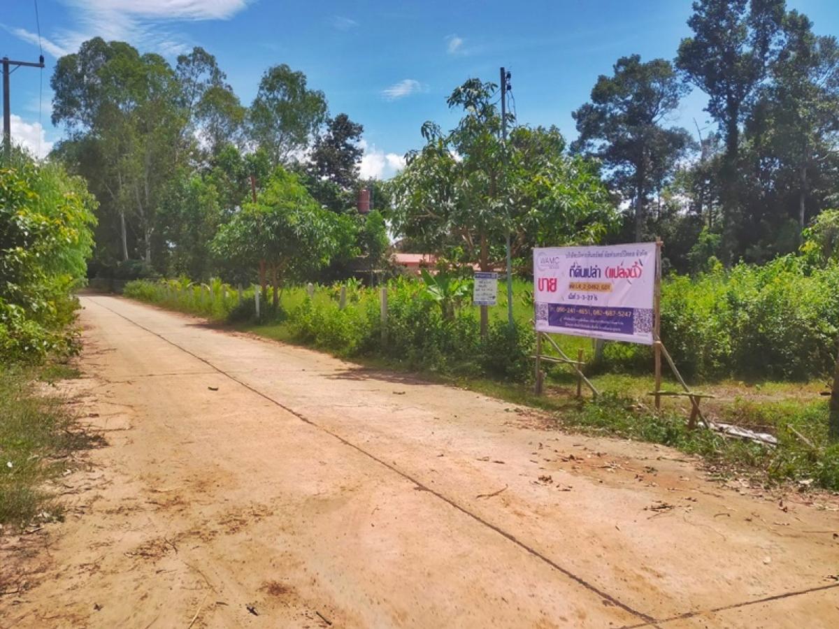 ขายที่ดินร้อยเอ็ด : ที่ดิน ห่างจากทางหลวงแผ่นดินสายร้อยเอ็ด-โพนทอง (ทล.2044) ประมาณ 200 เมตร