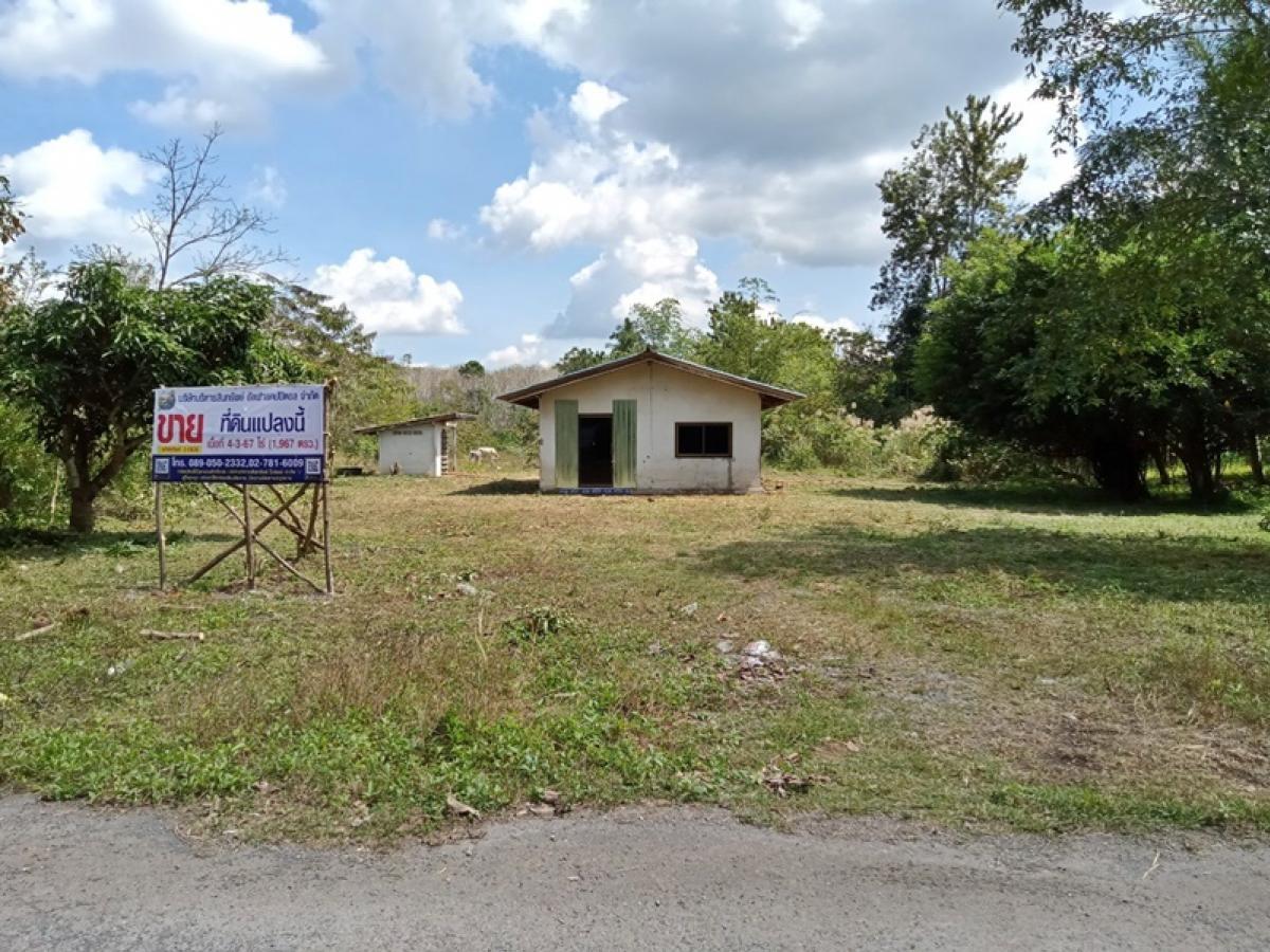 For SaleHouseNakhon Si Thammarat : Non, - Thung Song - Hot Spring (Tor. 4166) Bamboo fields, Thung Song Nakhon Si Thammarat