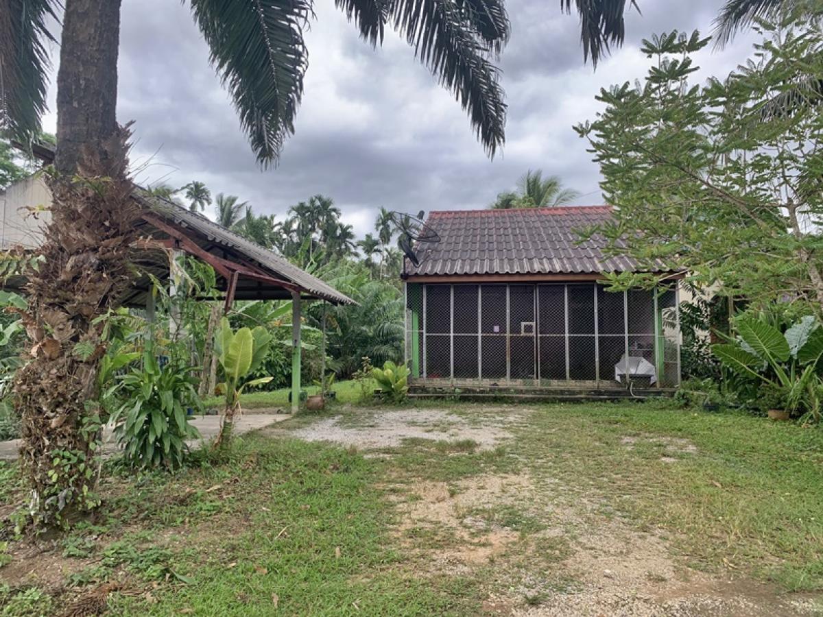 For SaleHouseTrang : 339 Village No. 2, Ban Nong Duck-Ban Cage