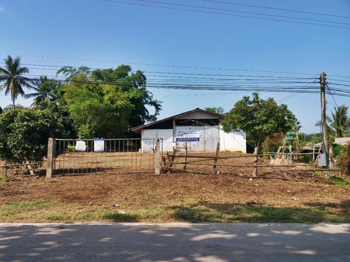 ขายโกดังพะเยา : ที่ดินพร้อมสิ่งปลูกสร้าง โรงซ่อมรถ อยู่ติดถนนสายบ้านน้ำแวน-บ้านทุ่งหล่ม (ทล.1186) ตอน กม.ที่ 5+650