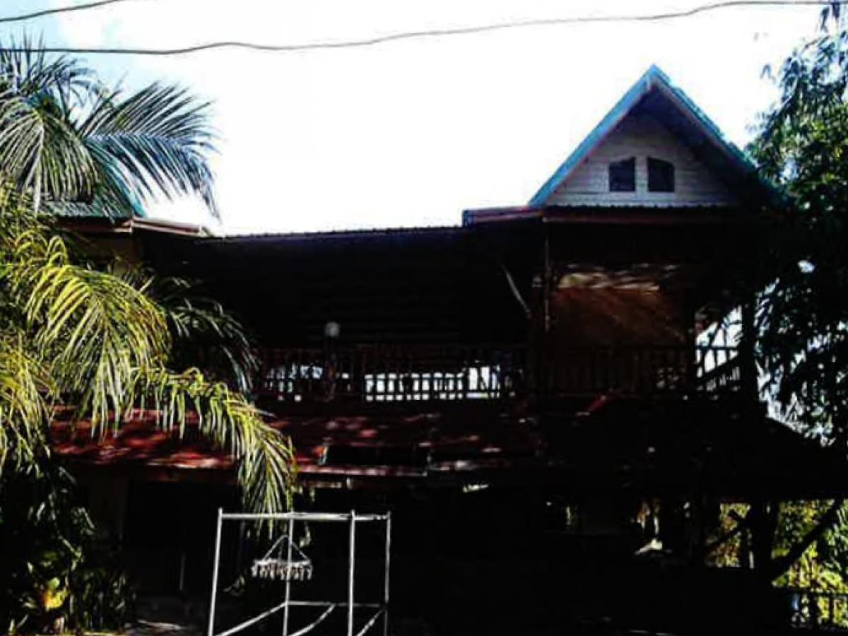 ขายบ้านหนองคาย : ที่ดินพร้อมสิ่งปลูกสร้าง โรงเรือนเลี้ยงสัตว์