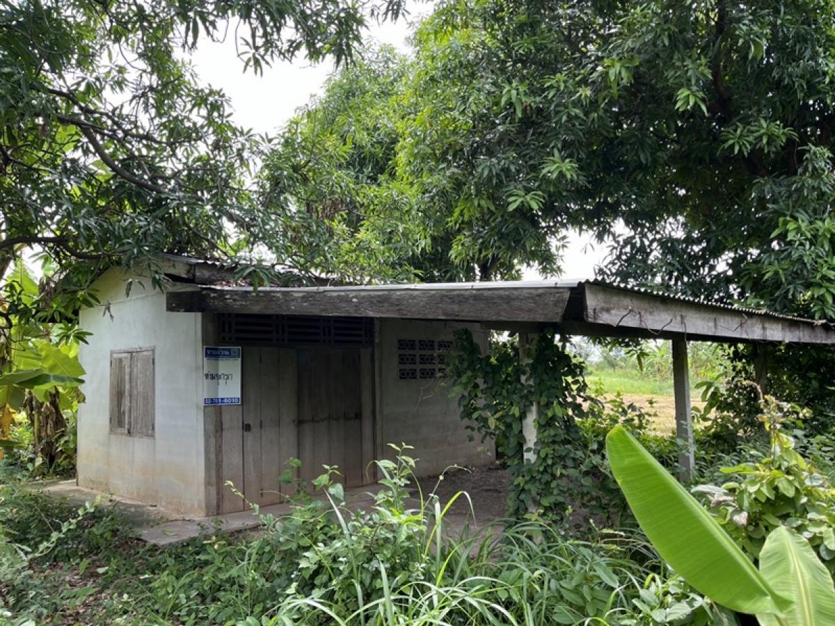 ขายบ้านลพบุรี : บ้านพักอาศัยตึกชั้นเดียว