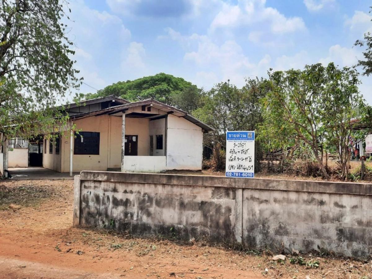 ขายบ้านร้อยเอ็ด : บ้านพักอาศัยตึกชั้นเดียว ห่างจากถนนปัทมานนท์ (ทล.214) ประมาณ 278 เมตร