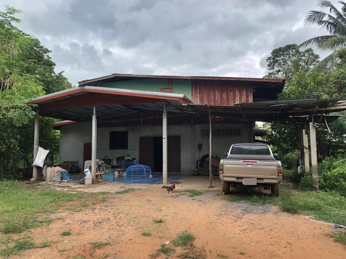 ขายบ้านร้อยเอ็ด : บ้านพักอาศัยครึ่งตึกครึ่งไม้ 2 ชั้น ห่างจากทางหลวงชนบทสายร้อยเอ็ด-เชียงขวัญ (รอ.4026) ประมาณ 370 เมตร