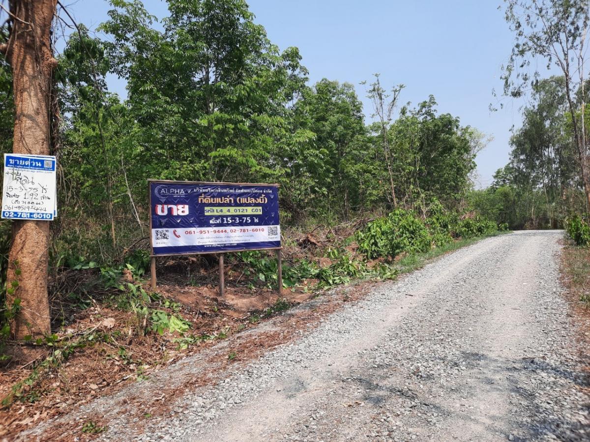 ขายที่ดินเลย : ที่ดิน ห่างจากถนนสายไร่ทาม-สงเปลือย (ทล.2249) ประมาณ 680 เมตร