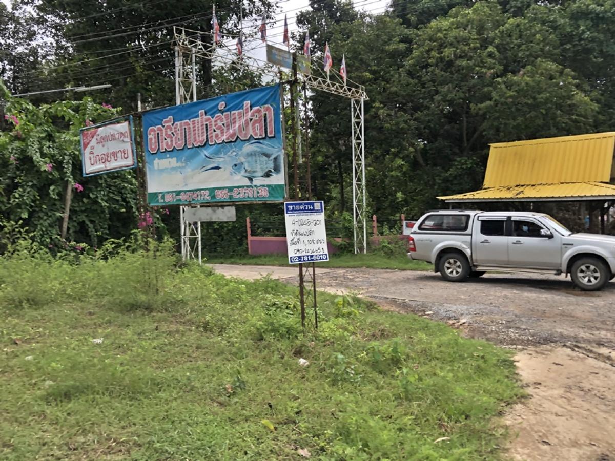 ขายที่ดินร้อยเอ็ด : ที่ดิน ห่างจากทางหลวงชนบทสายเกษตรวิสัย-ปอหมัน (ทล.214) ประมาณ 920 เมตร