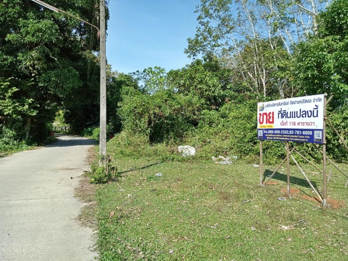 For SaleLandNakhon Si Thammarat : Soi Wang Khang Nabon-Thung Song Chaiman, Thung Song Nakhon Si Thammarat