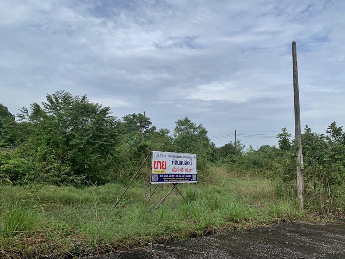 For SaleLandHatyai Songkhla : Located in the alley without name Kanchanawit Road (Tor. 407) Tha Kham Hat Yai Songkhla