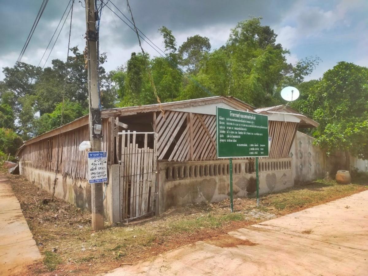 ขายบ้านร้อยเอ็ด : บ้านพักอาศัยชั้นเดียว 