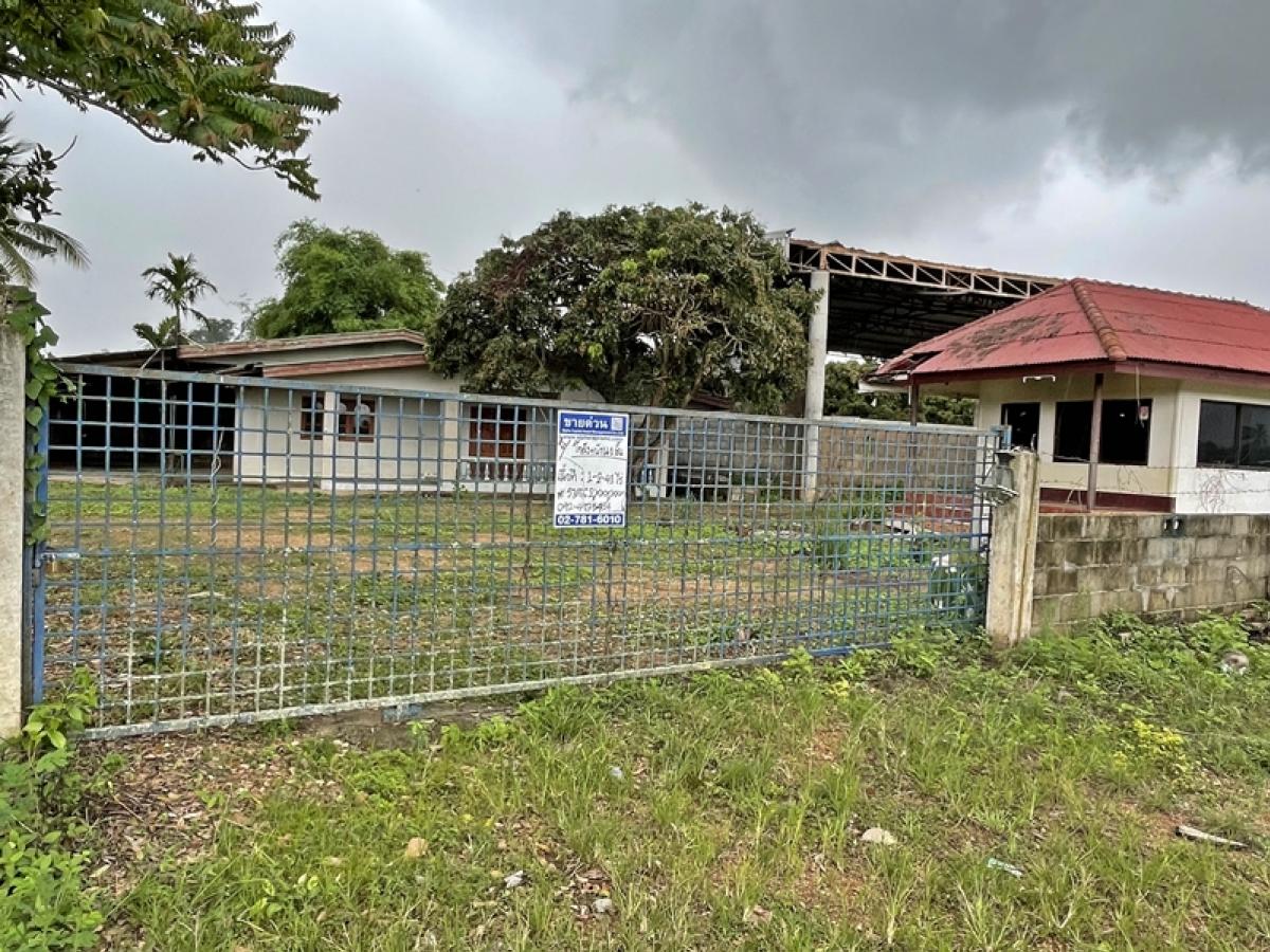 For SaleLandChiang Mai : 51 Moo 4 Chiang Mai-Phrao (Tor. 1001) Phrae Phrao, Chiang Mai