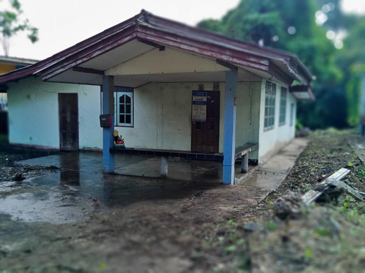 ขายบ้านสระบุรี : บ้านชั้นเดียว ห่างจากถนนสุดบรรทัด(ทล.3188) ประมาณ 373 เมตร