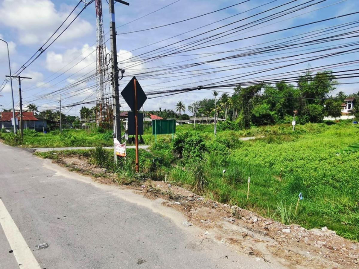 ขายที่ดินปัตตานี : ที่ดิน ถนนสายปัตตานี-โคกโพธิ์ (ทล.42)