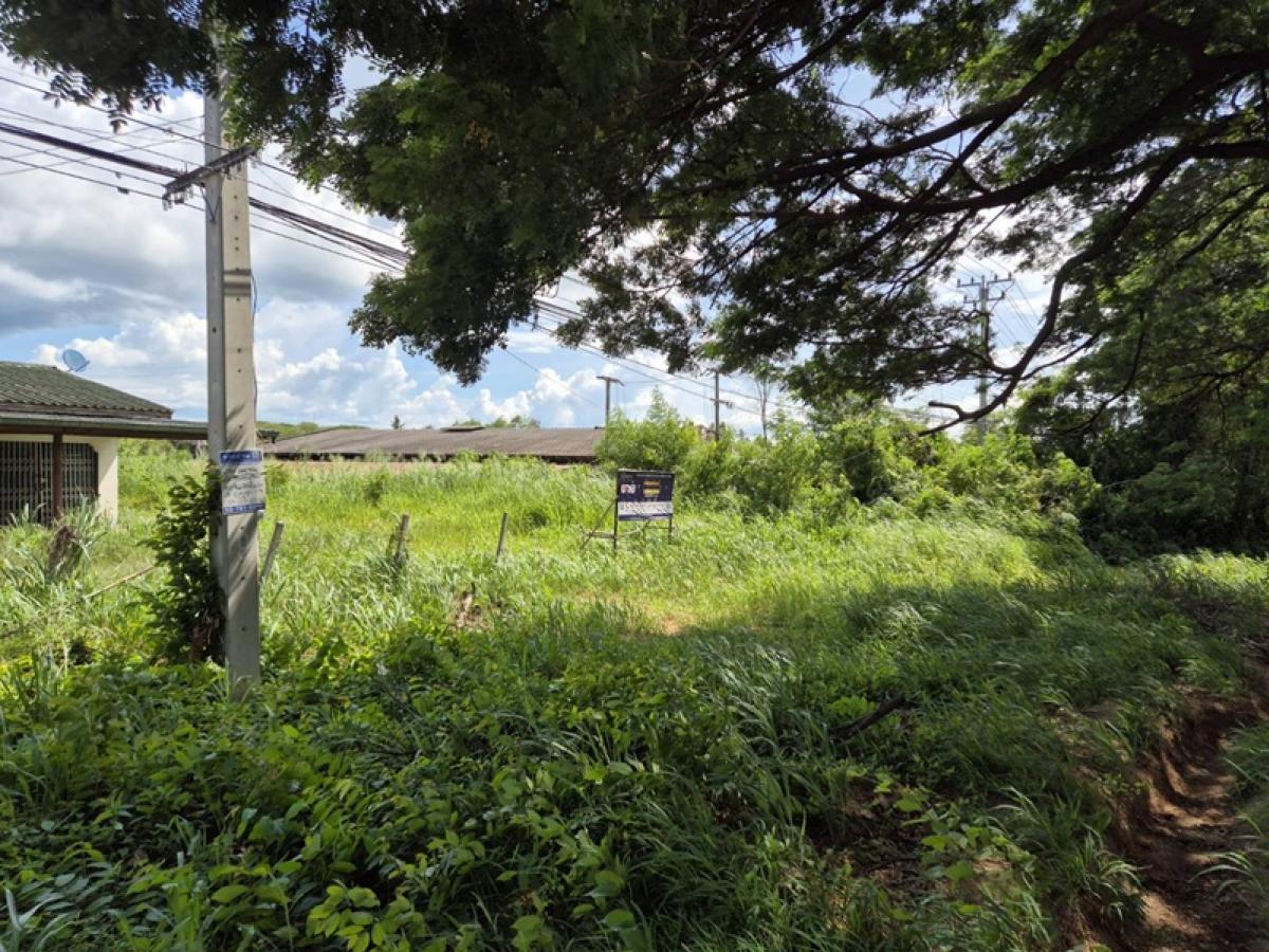 ขายที่ดินหัวหิน ประจวบคีรีขันธ์ : ที่ดิน ตั้งอยู่ที่ถนนเพชรเกษม บริเวณหลักกิโลเมตรที่ 353+300