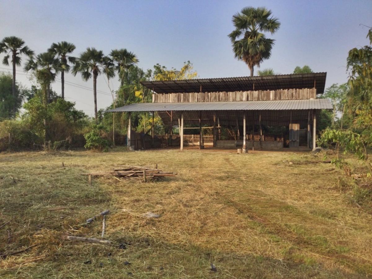 ขายบ้านลำปาง : ที่ดินพร้อมสิ่งปลูกสร้าง บ้านพักอาศัยไม้ใต้ถุนสูง 1 ชั้น บ้านต้นค่า