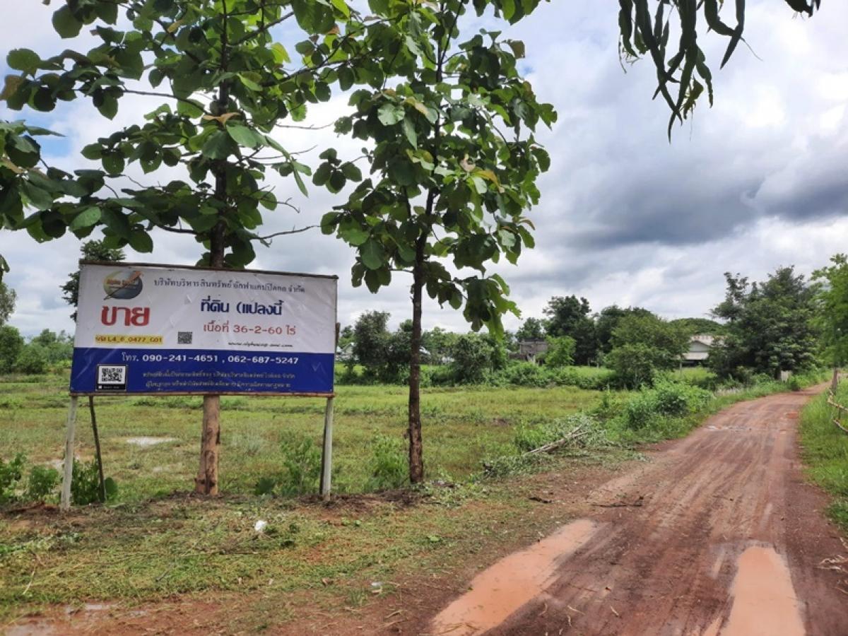 For SaleLandBueng Kan : Chain Phisai-Phon Phisai (2267) Bueng Kan Chain Chain