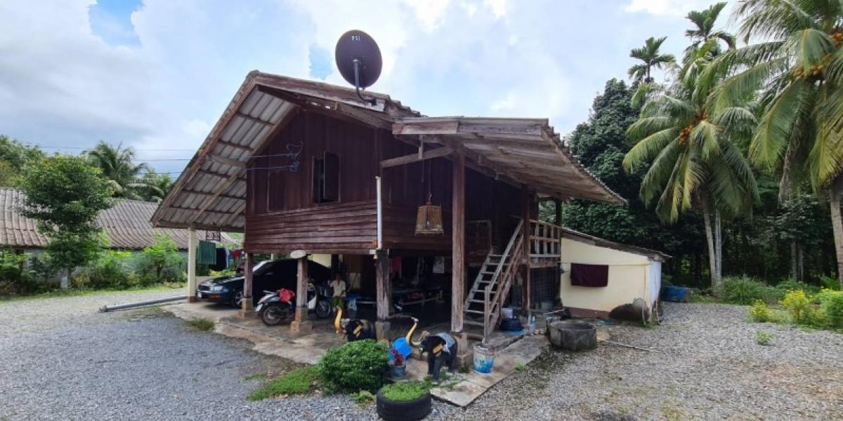 For SaleHouseNakhon Si Thammarat : 29 Khuan Health Intersection, bamboo rice fields, Thung Song Nakhon Si Thammarat