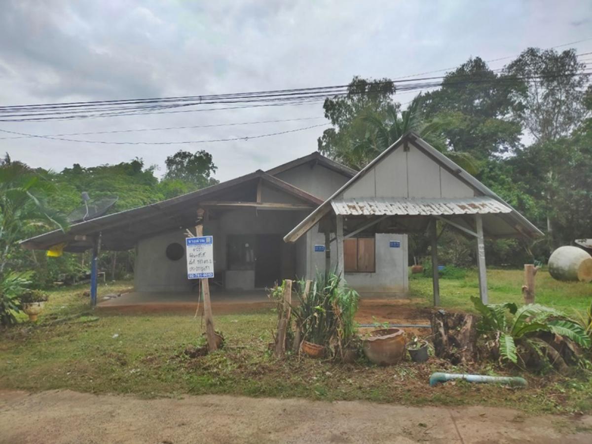 For SaleHouseBuri Ram : Anothai 61 Krasang-Mueang Pho (Bor 4068), Phai Krasang Buriram