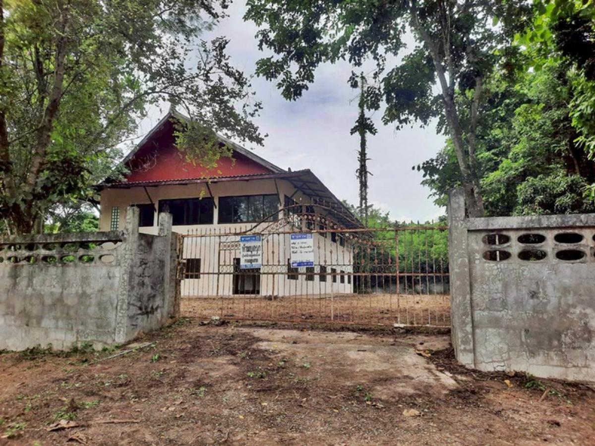 For SaleLandUdon Thani : No name, no name, no Nong Muen Thao-Nong Sok Dao (Noon. 2041), Non Sung, Udon Thani, Udon Thani