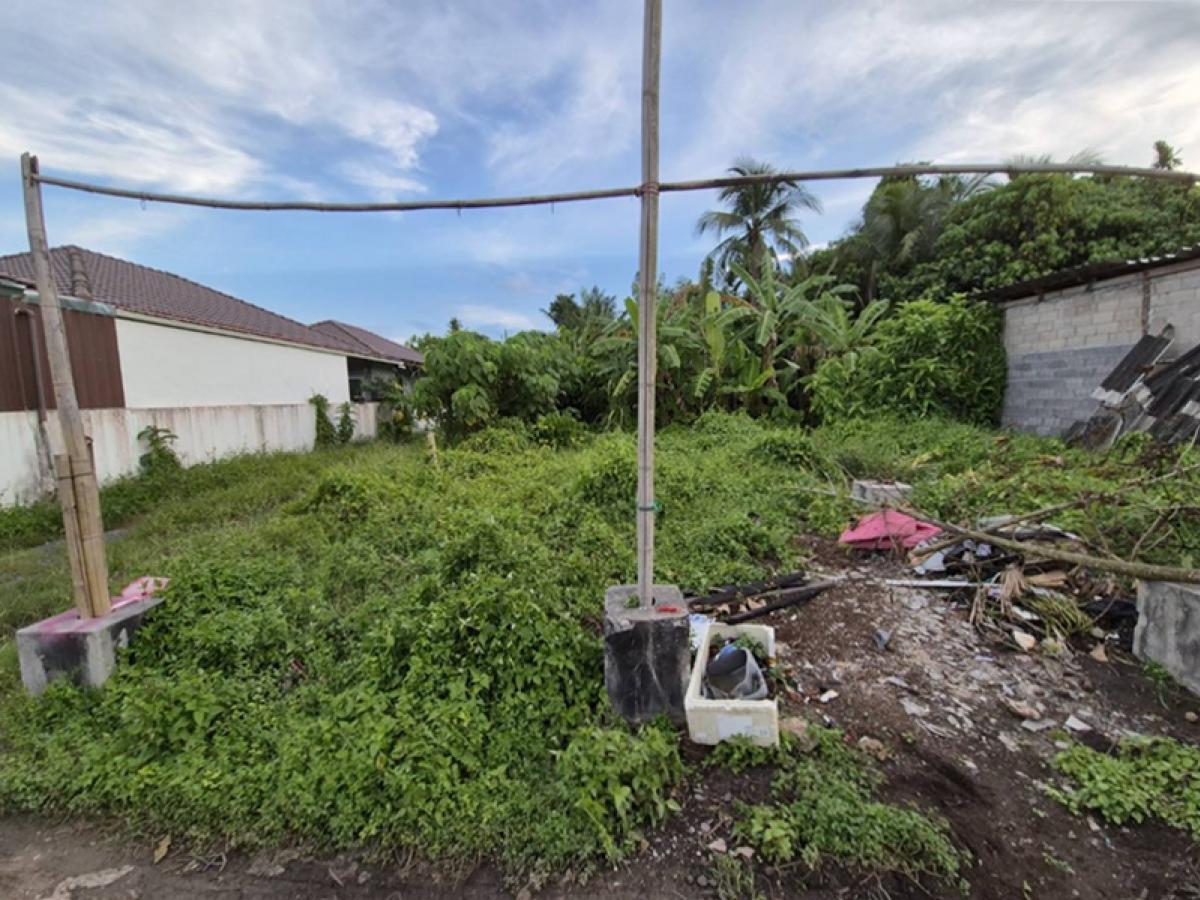 ขายที่ดินสมุย สุราษฎร์ธานี : ที่ดินพร้อมสิ่งปลูกสร้าง บ้านพักอาศัยชั้นเดียว ห่างจากถนนขุนทะเล ประมาณ 140 เมตร