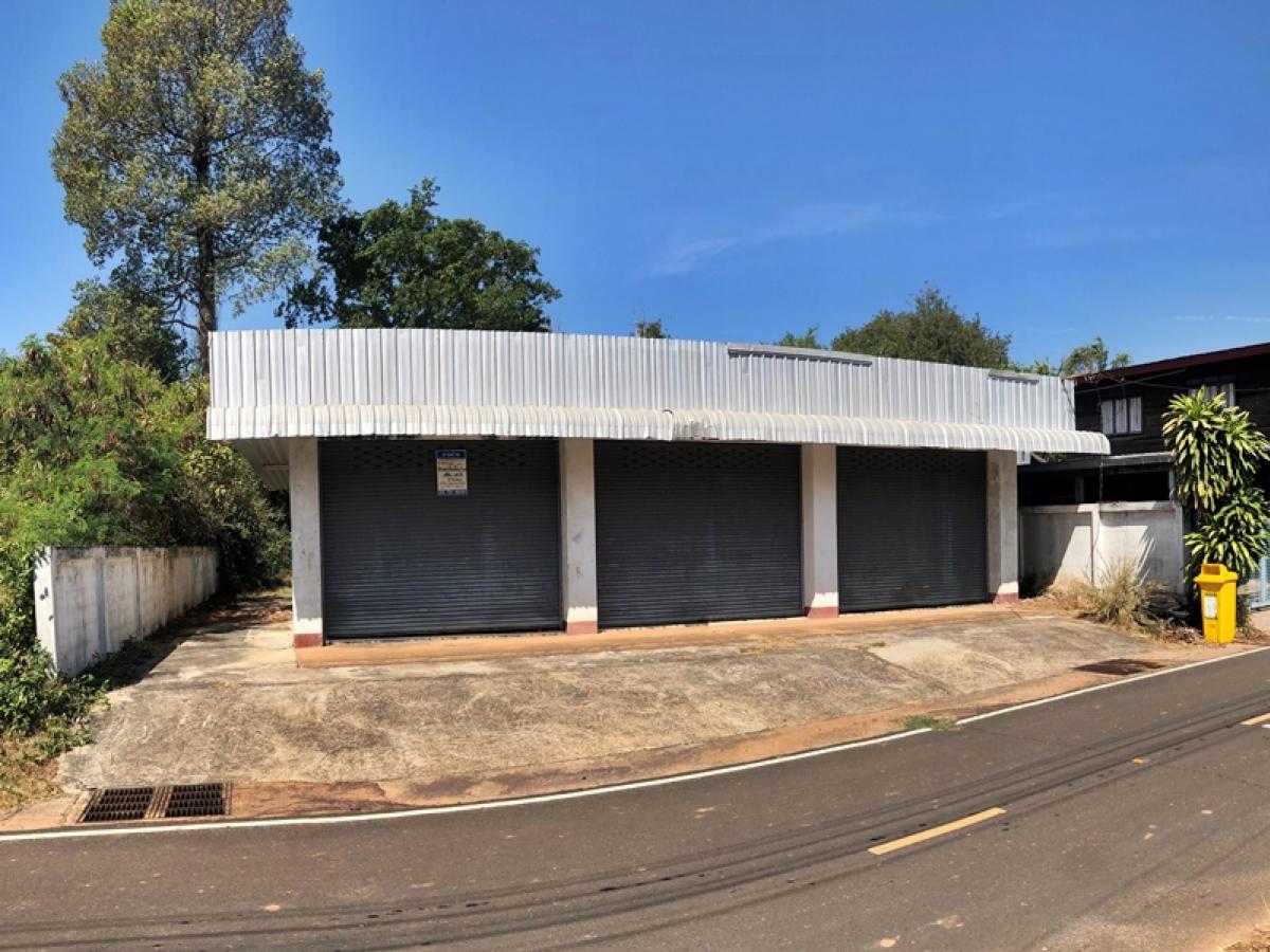 ขายบ้านอำนาจเจริญ : ที่ดินพร้อมสิ่งปลูกสร้าง บ้านพักอาศัยตึกชั้นเดียว ห่างจากถนนทล.212-เสนางคนิคม (ทล.2377) ประมาณ 600 เมตร