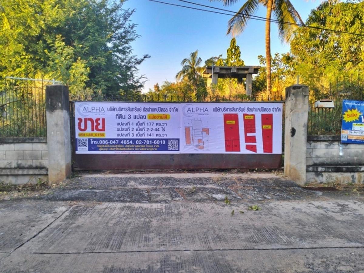 For SaleHousePhetchabun : 23/2, 23/3-17 Soi 9 Saraburi-Lom Sak (21) Fried Samo Sam Phetchabun