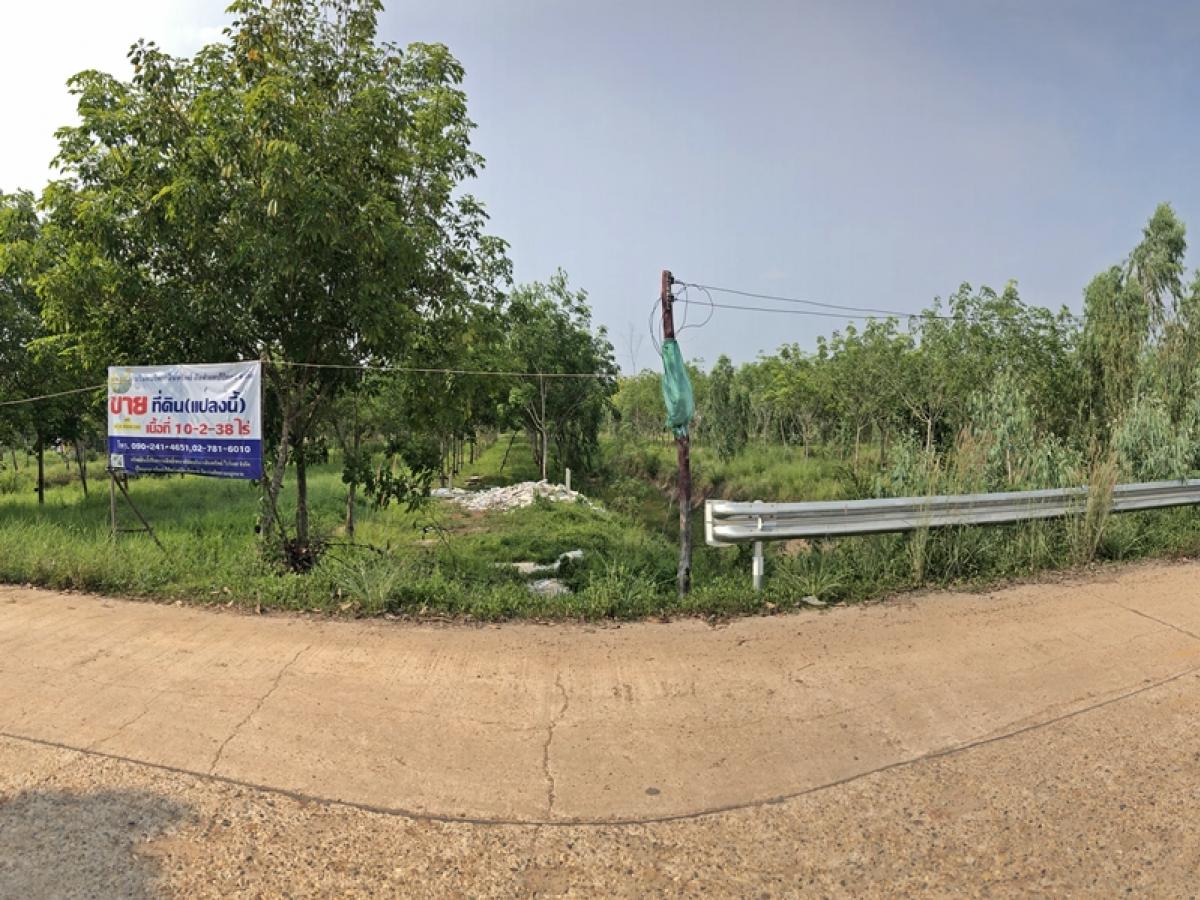 For SaleLandBueng Kan : Baan Khok Khong-Ban Tha Rai Pong Hai Seka Bueng Kan