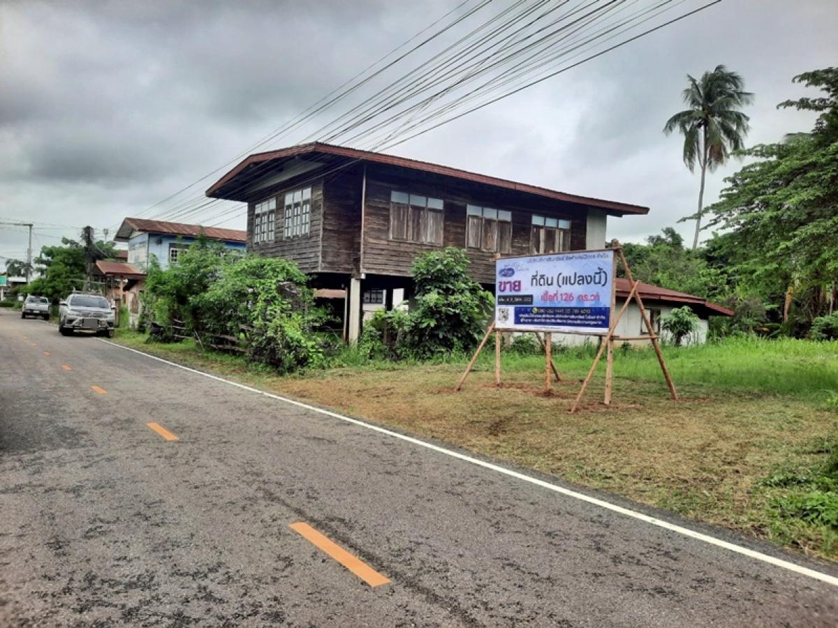 For SaleLandUdon Thani : Non Chedi Road Thung Fon Samakkhi Thung Fon Fon Udon Thani