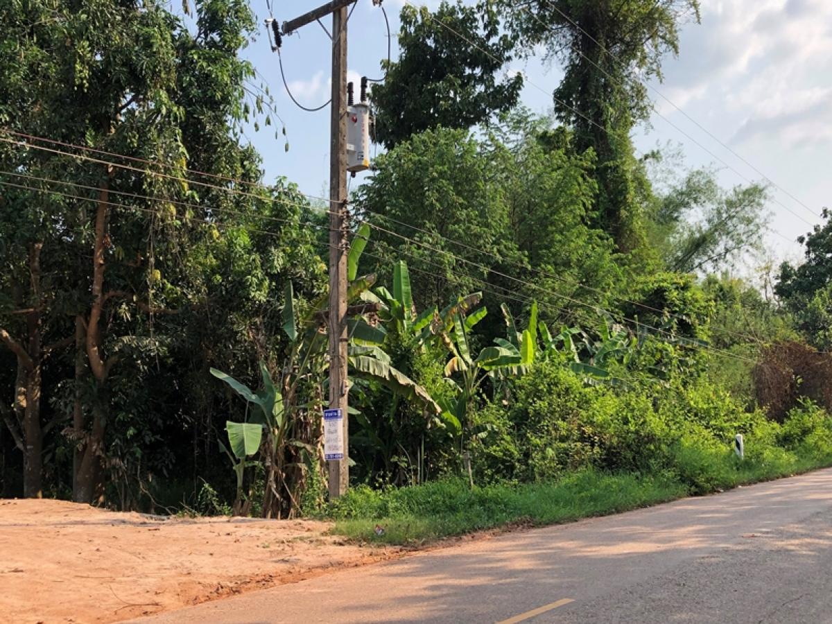 ขายที่ดินนครพนม : ที่ดิน ติดถนนสายหมูม้น-ศรีสงคราม