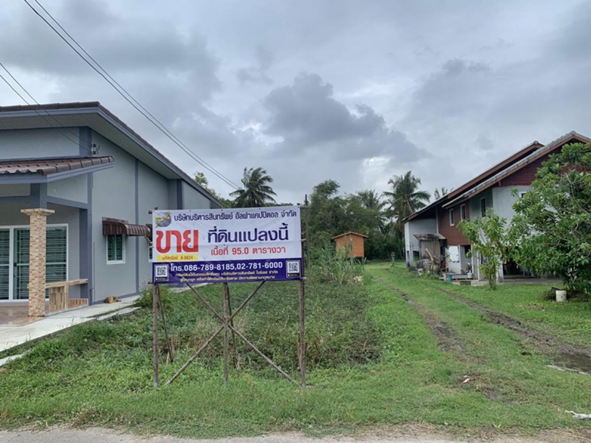 ขายที่ดินหาดใหญ่ สงขลา : ที่ดิน ห่างจากถนนสายสงขลา-ระโนด (ทล.408) ประมาณ 400 เมตร