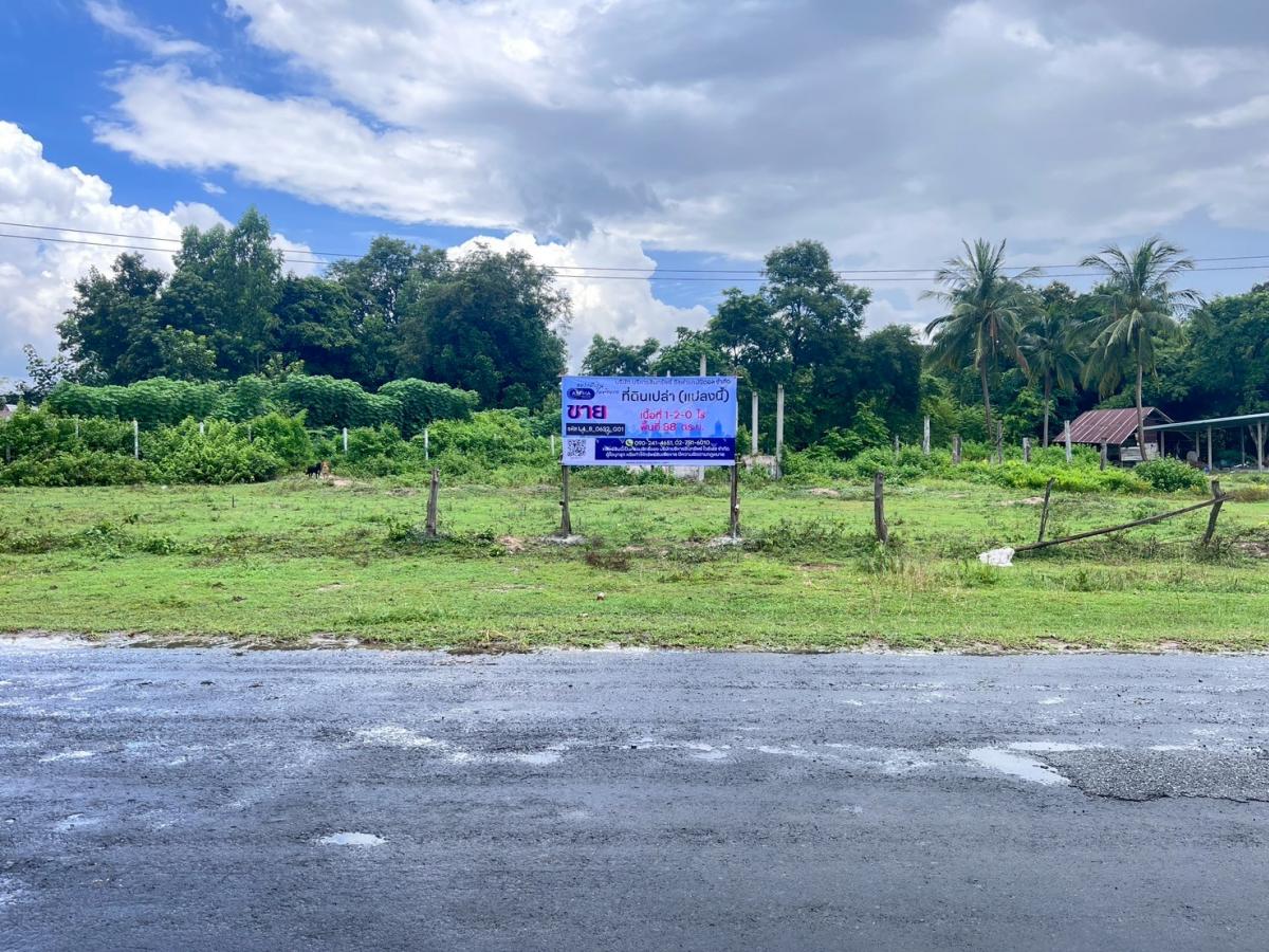 ขายที่ดินอำนาจเจริญ : ที่ดิน