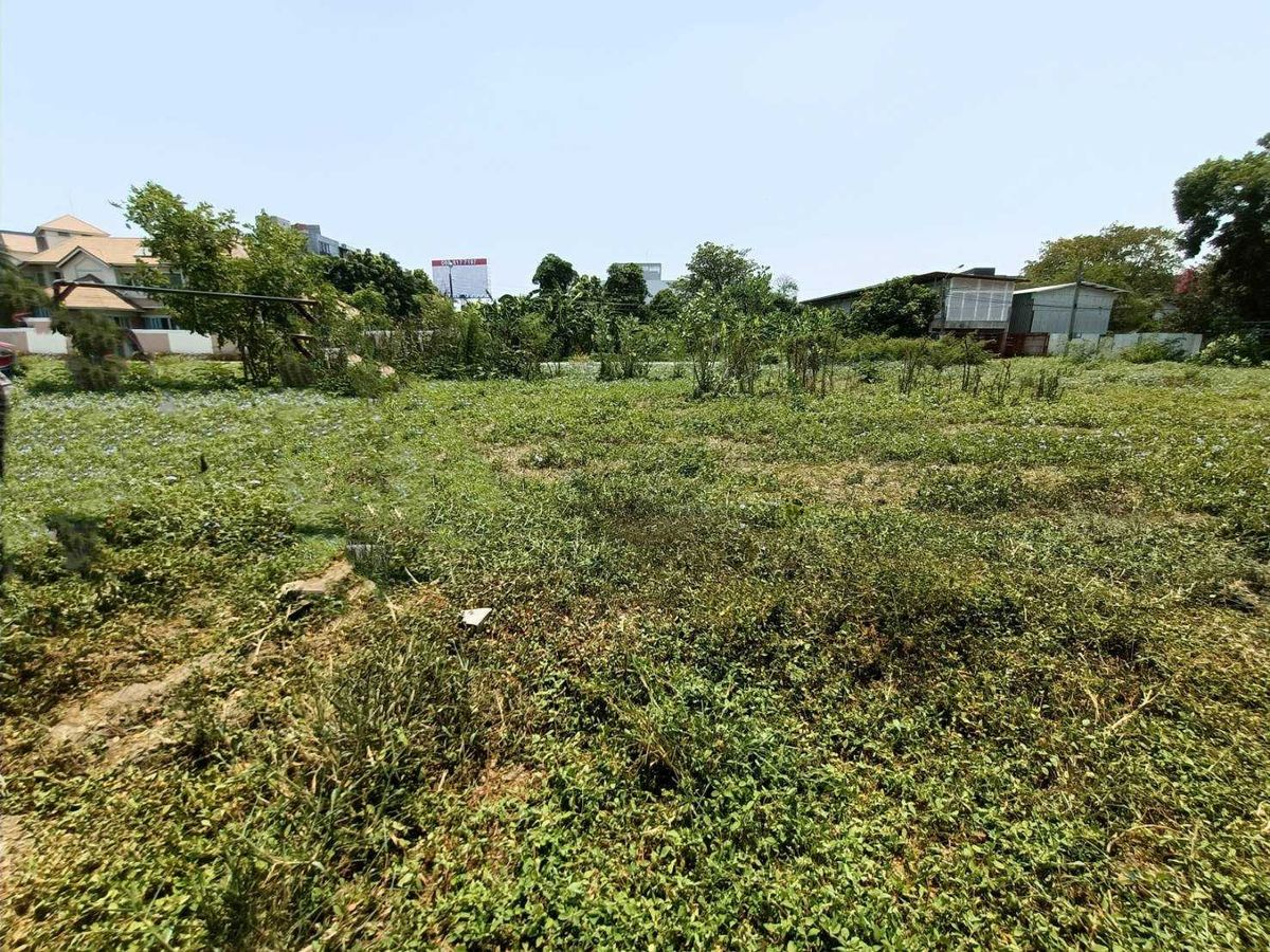 ขายที่ดินพัฒนาการ ศรีนครินทร์ : ขายด่วนที่ดินแปลงใหญ่ เลียบมอเตอร์เวย์ พัฒนาการ53 (N.633)