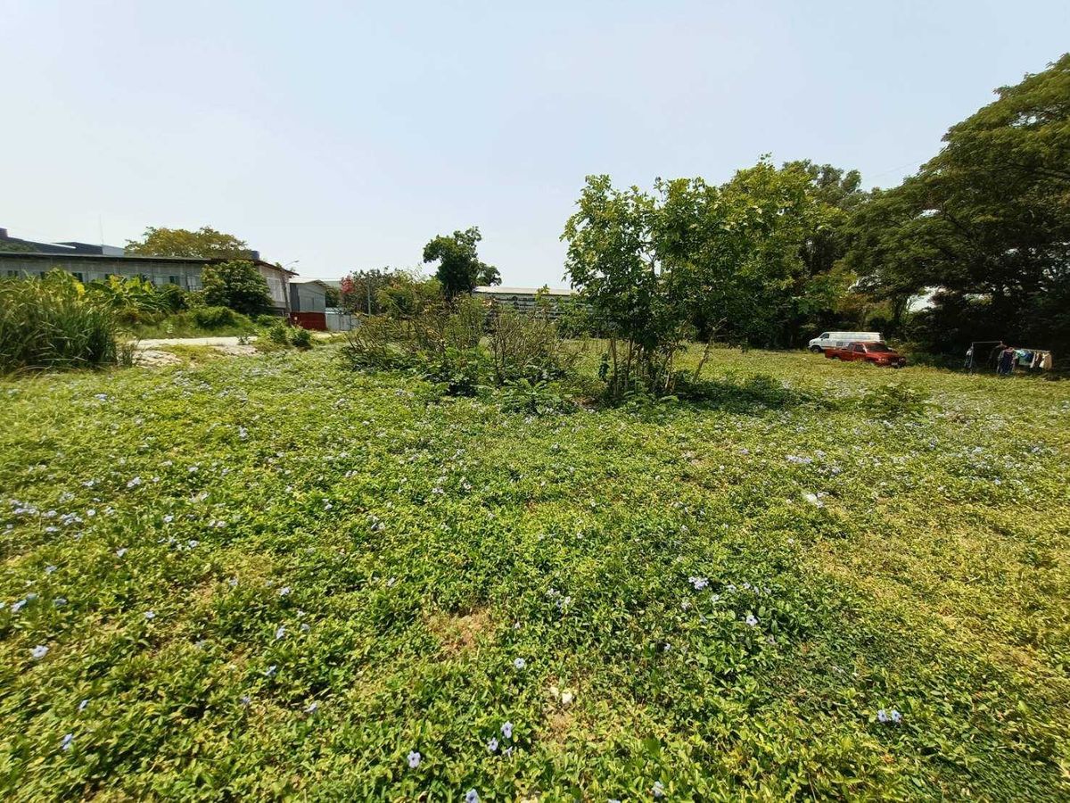 ขายที่ดินพัฒนาการ ศรีนครินทร์ : ขายด่วนที่ดินแปลงใหญ่ เลียบมอเตอร์เวย์ พัฒนาการ53 (N.633)