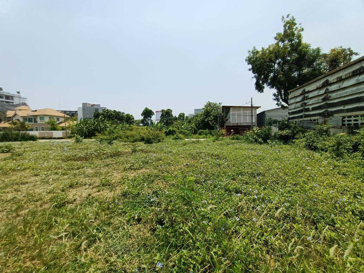 ขายที่ดินพัฒนาการ ศรีนครินทร์ : ขายด่วนที่ดินแปลงใหญ่ เลียบมอเตอร์เวย์ พัฒนาการ53 (N.633)