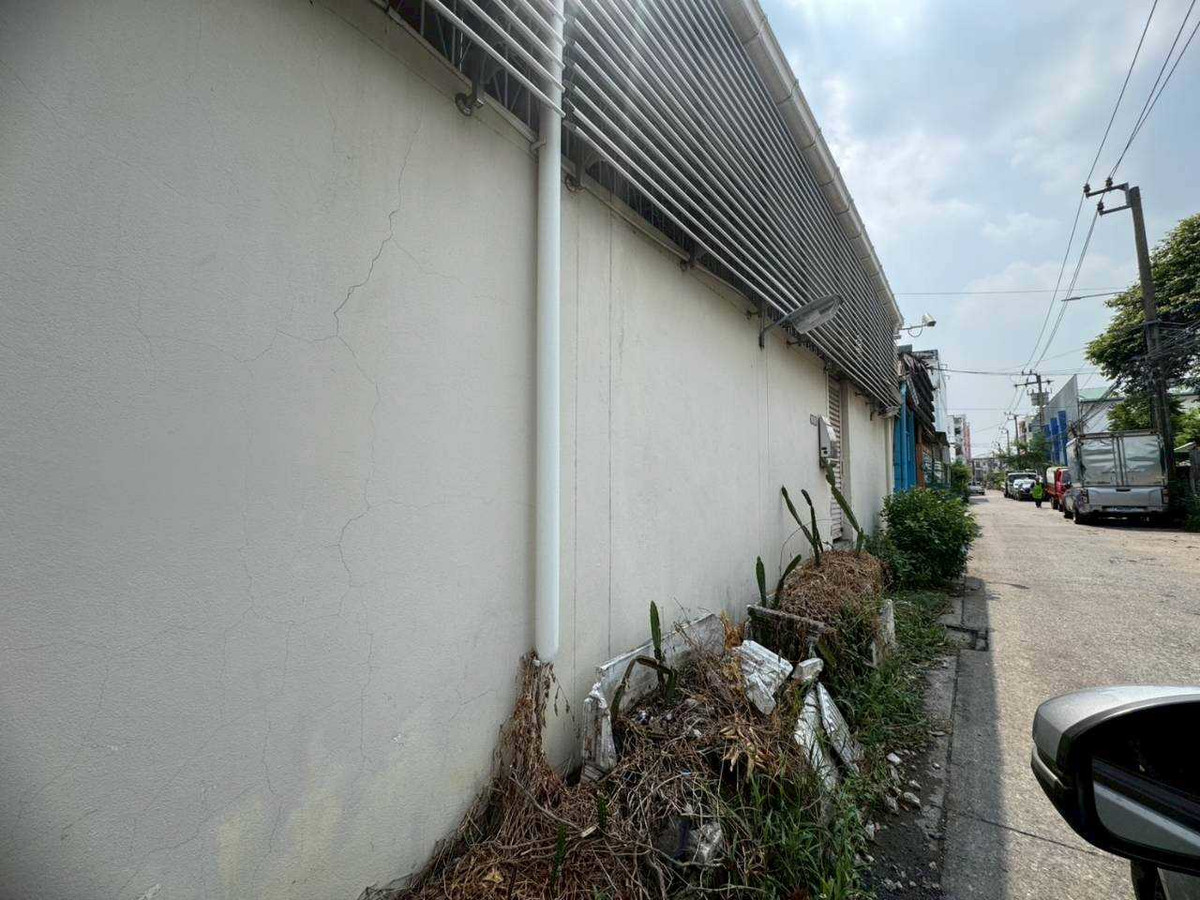 ให้เช่าอาคารพาณิชย์โชคชัย4 ลาดพร้าว71 : ให้เช่าอาคาร 2 ห้อง 3 ชั้นครึ่ง + ดาดฟ้า ทำเลทอง ลาดพร้าว 71 (ตรงข้ามตลาดนัด ใกล้ป้ายรถเมล์) (N.1723)