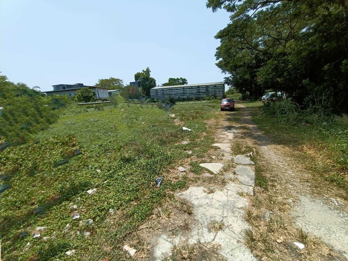 ขายที่ดินพัฒนาการ ศรีนครินทร์ : ขายด่วนที่ดินแปลงใหญ่ เลียบมอเตอร์เวย์ พัฒนาการ53 (N.633)