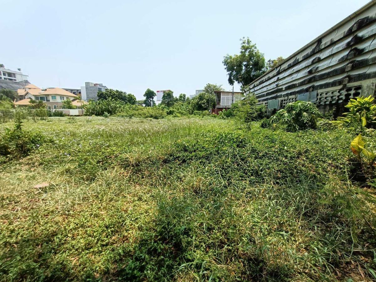 ขายที่ดินพัฒนาการ ศรีนครินทร์ : ขายด่วนที่ดินแปลงใหญ่ เลียบมอเตอร์เวย์ พัฒนาการ53 (N.633)