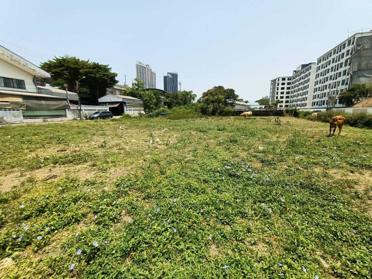 ขายที่ดินพัฒนาการ ศรีนครินทร์ : ขายด่วนที่ดินแปลงใหญ่ เลียบมอเตอร์เวย์ พัฒนาการ53 (N.633)