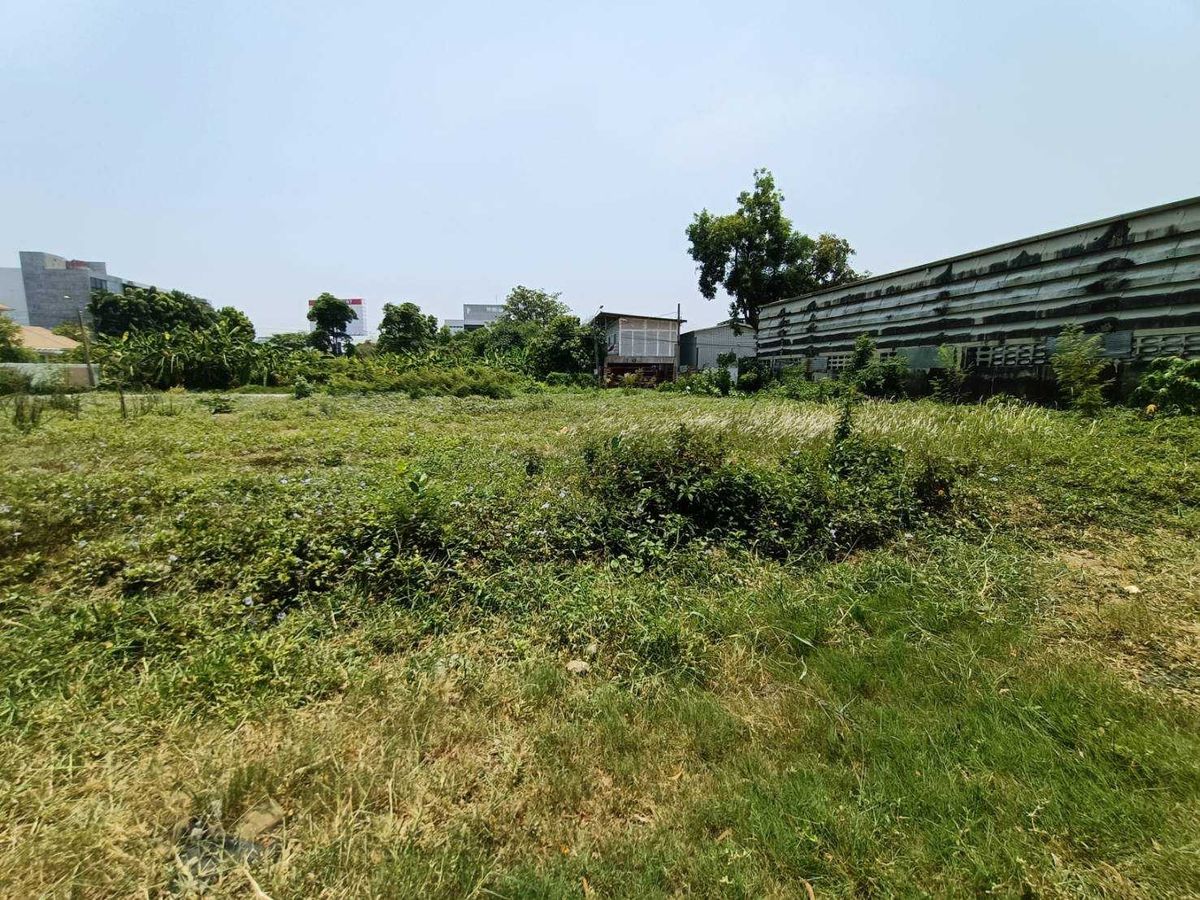 ขายที่ดินพัฒนาการ ศรีนครินทร์ : ขายด่วนที่ดินแปลงใหญ่ เลียบมอเตอร์เวย์ พัฒนาการ53 (N.633)