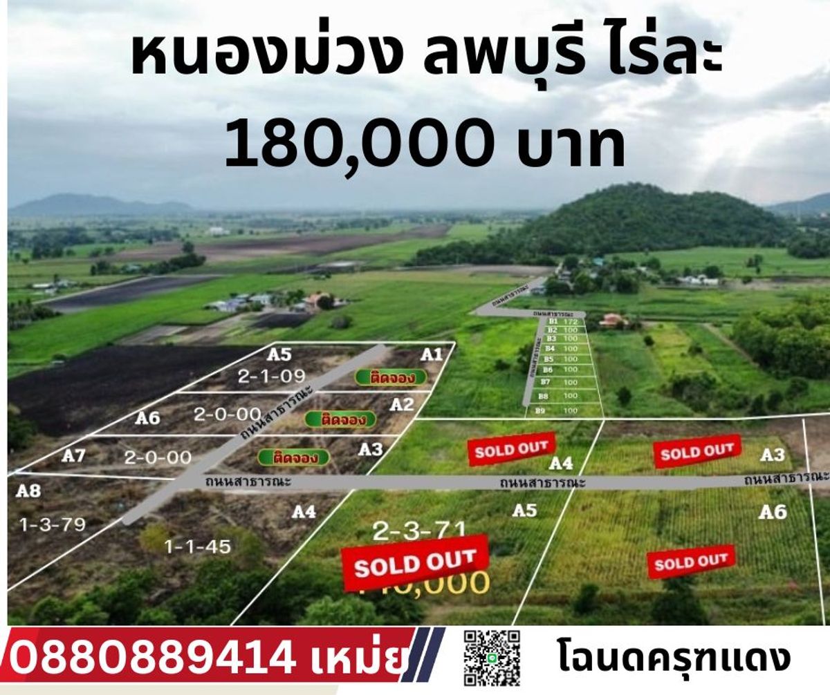 ขายที่ดินลพบุรี : ที่ดิน หนองม่วง จ ลพบุรี ตร.วาละ 450 บาท ไร่ละ 180000