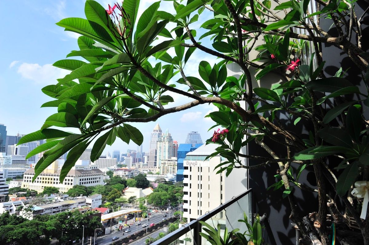 ขายคอนโดสาทร นราธิวาส : ✨ The Met Sathorn | Best Price on the Market | 93 sq.m – ฿10.99 MB  0632452899