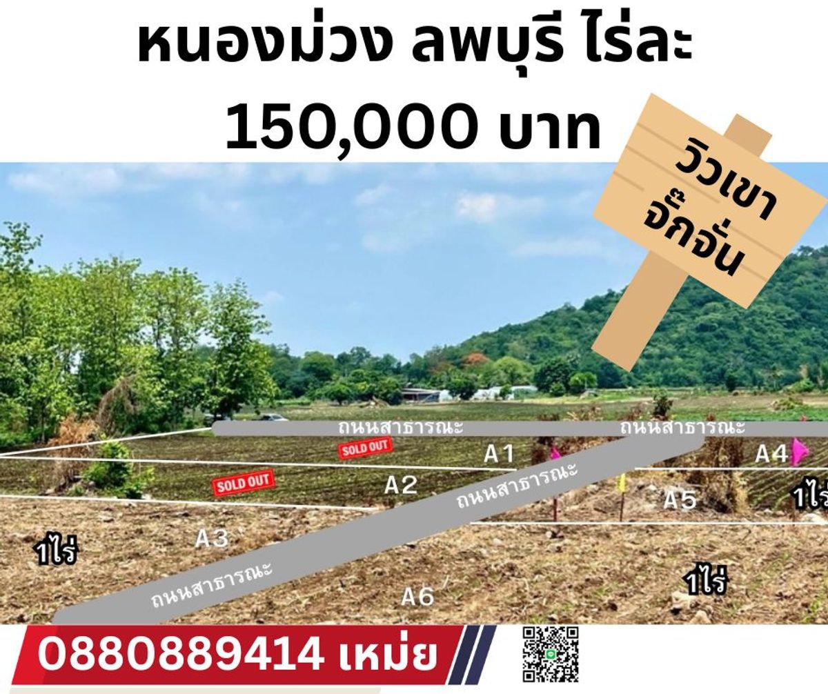 ขายที่ดินลพบุรี : ที่ดิน หนองม่วง จ ลพบุรี ขนาด 200 ตรวา 130,000 บาท 
