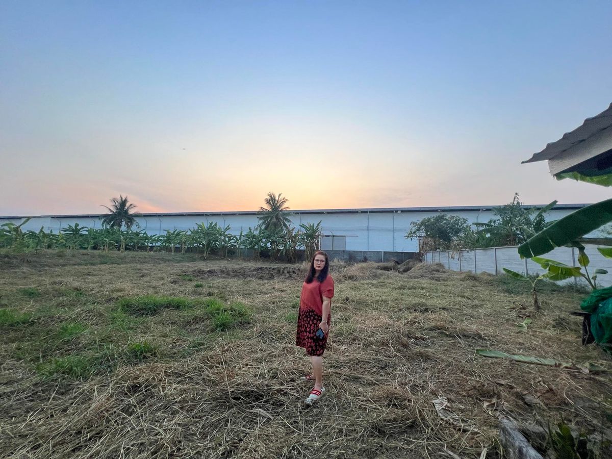 LandSamut Prakan,Samrong : Selling/renting 1 rai of land, Soi Kingkaew 25/1, Golden Location near Suvarnabhumi Airport Suitable for building a home office.