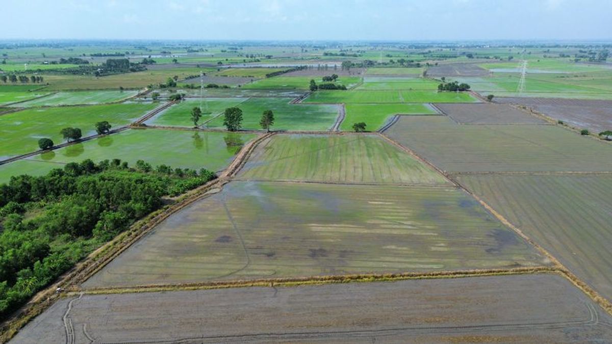 ขายที่ดินสระบุรี : ขายที่ดิน 9-2-32 ไร่ ตำบลดอนทอง อำเภอหนองโดน จังหวัดสระบุรี