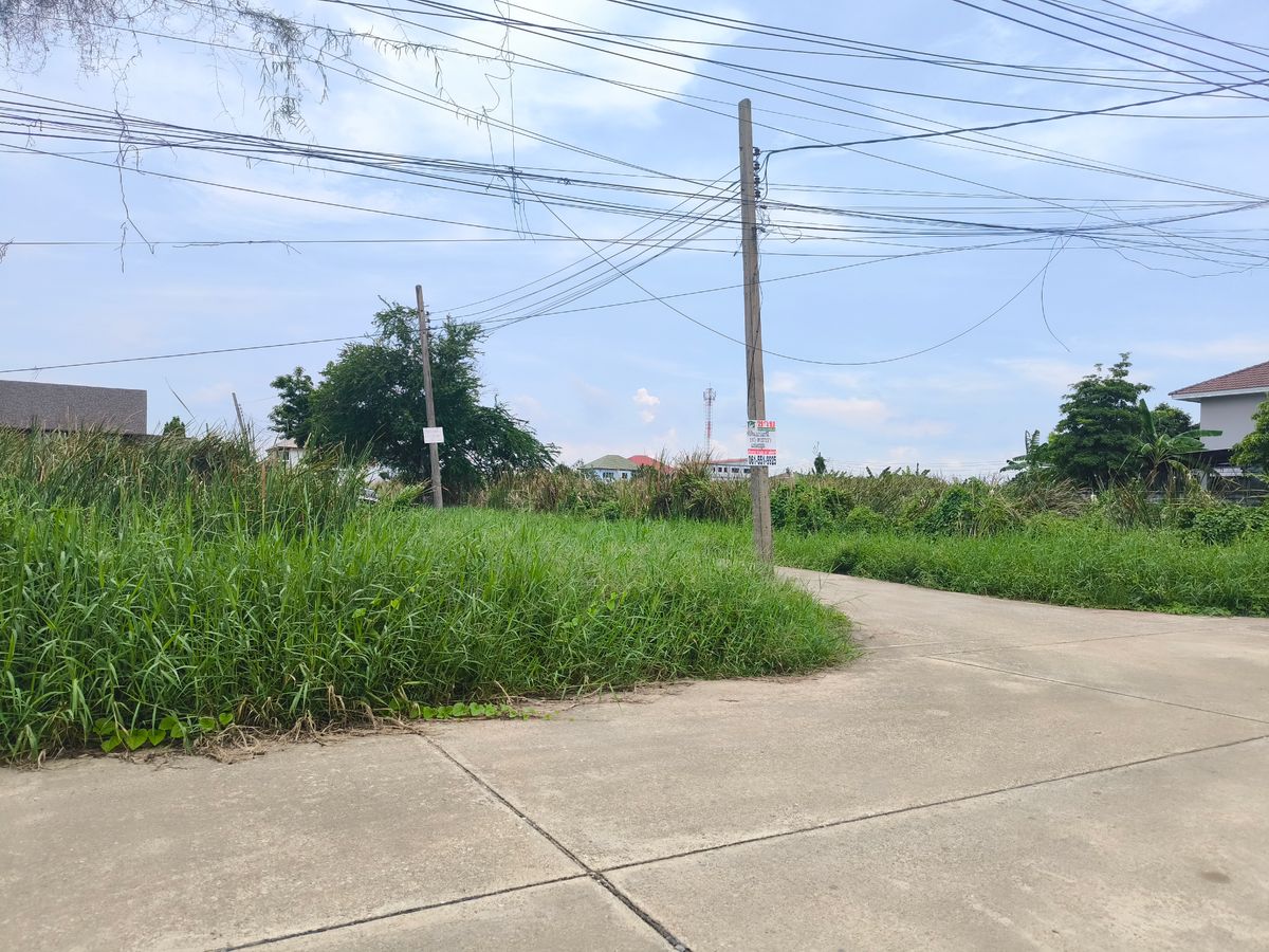 ขายที่ดินพุทธมณฑล ศาลายา : ขายที่ดิน แปลงมุม พุทธมณฑลสาย2 ซอย21
