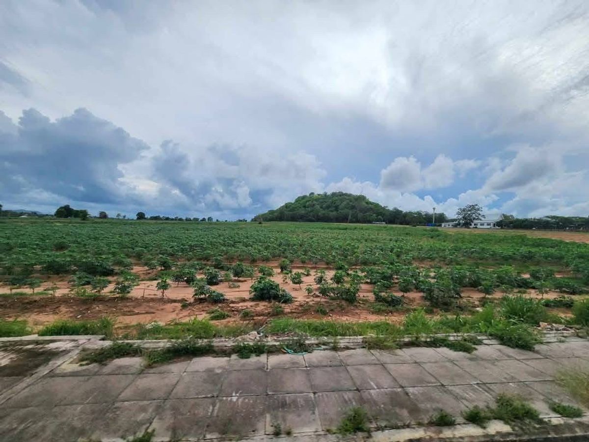ขายที่ดินพัทยา บางแสน ชลบุรี สัตหีบ : ❖ Beautiful Land of Patthaya ❖ ขนาดที่ดิน 61,107 ตร.ว. | ที่ดินผังสีส้ม | ห่างจากอ่างเก็บน้ำชากนอก 1 กม., เทศบาลห้วยใหญ่ 4 กม., หาดจอมเทียน 9 กม., เมืองพัทยา 11 กม., Terminal 21 พัทยา 15 กม.