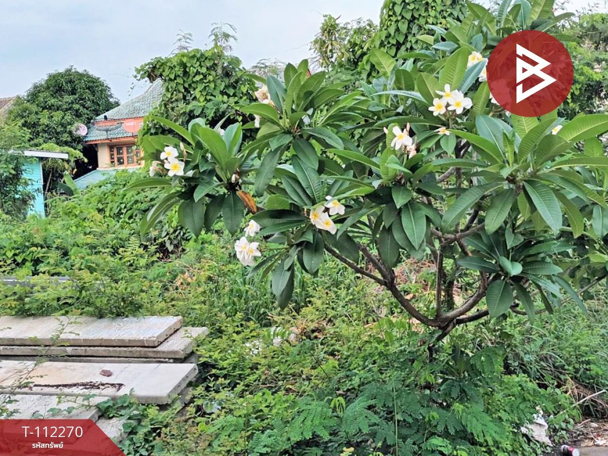 ขายที่ดินปทุมธานี รังสิต ธรรมศาสตร์ : ขายที่ดินใน หมู่บ้านพฤกษา 2 รังสิต-คลอง 8 ปทุมธานี